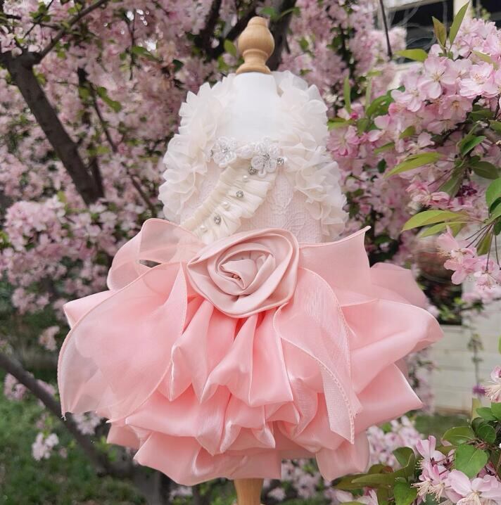 《予約》№3102188 スパイラルローズドレス