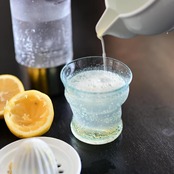 東屋　ジューサー［4573503821329］