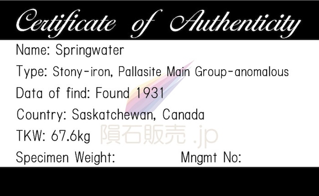 スプリングウォーター 隕石 2.1g パラサイト 石鉄隕石 標本 Springwater M2602