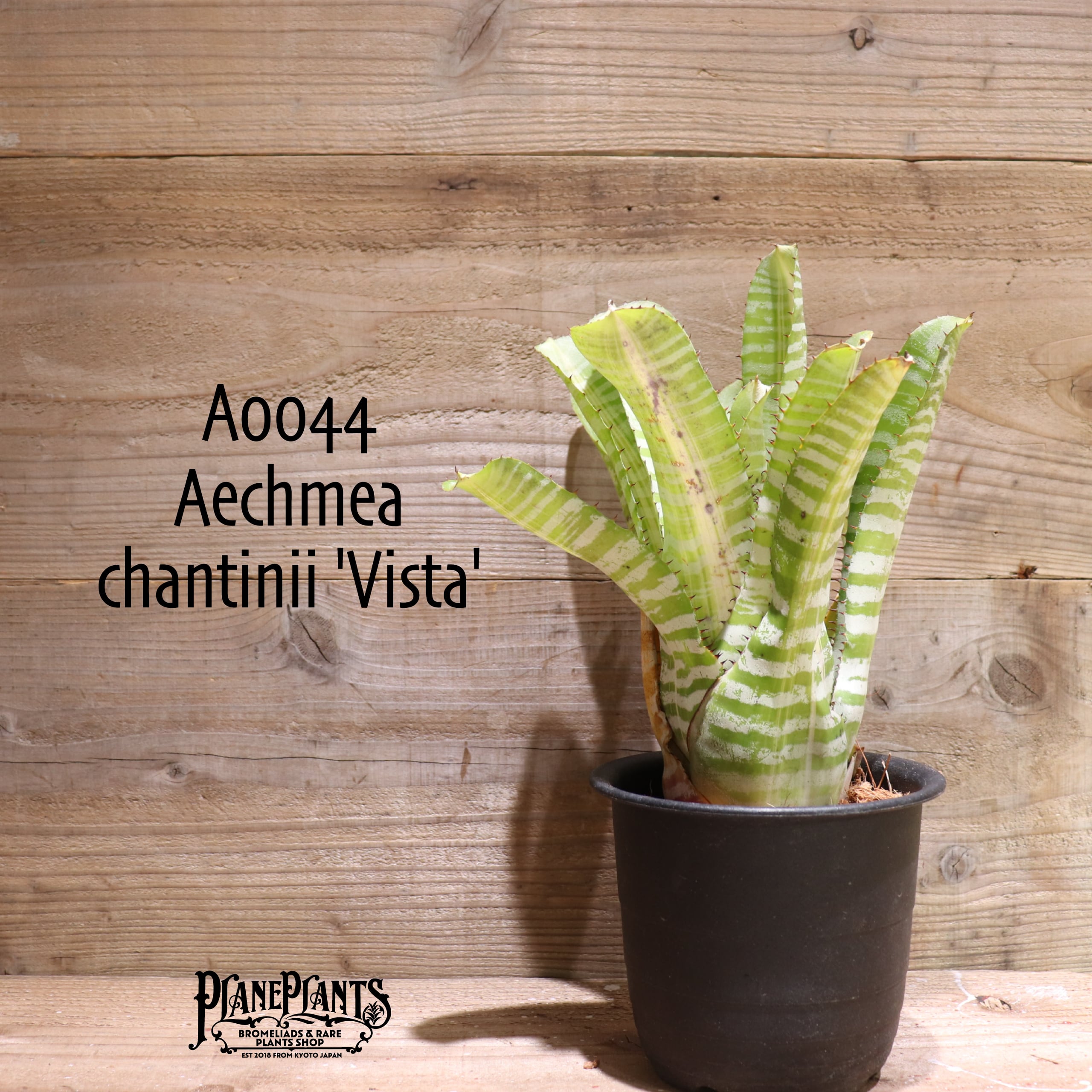 bfef1314e8f33c839241b252efefb8