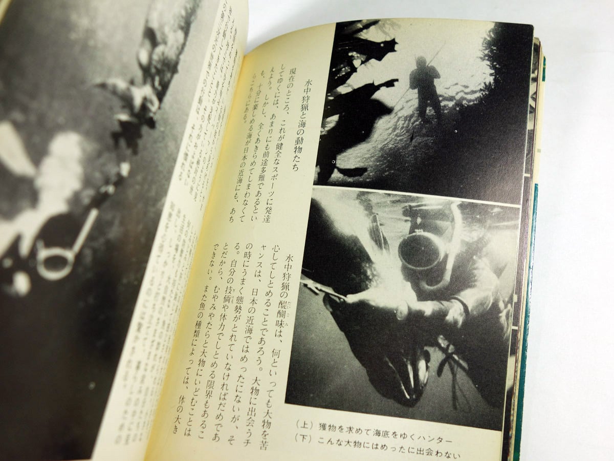 【絶版・希少】青い海　大崎映晋　保育社カラーブックス　1964年　初版 青い海（大崎映晋 著）- カラーブックス58 | bookstore ナルダ