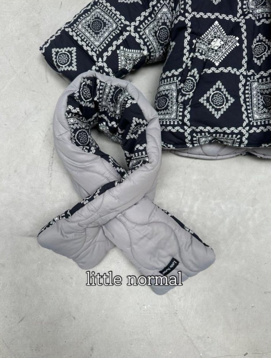 ※11/23まで5%OFF予約【little normal】reversible down/S-JS