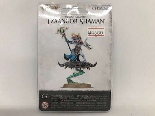 TZEENTCH ARCANITES TZAANGOR SHAMAN