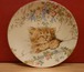 ロイヤルウースター　CATNAP  猫の絵皿