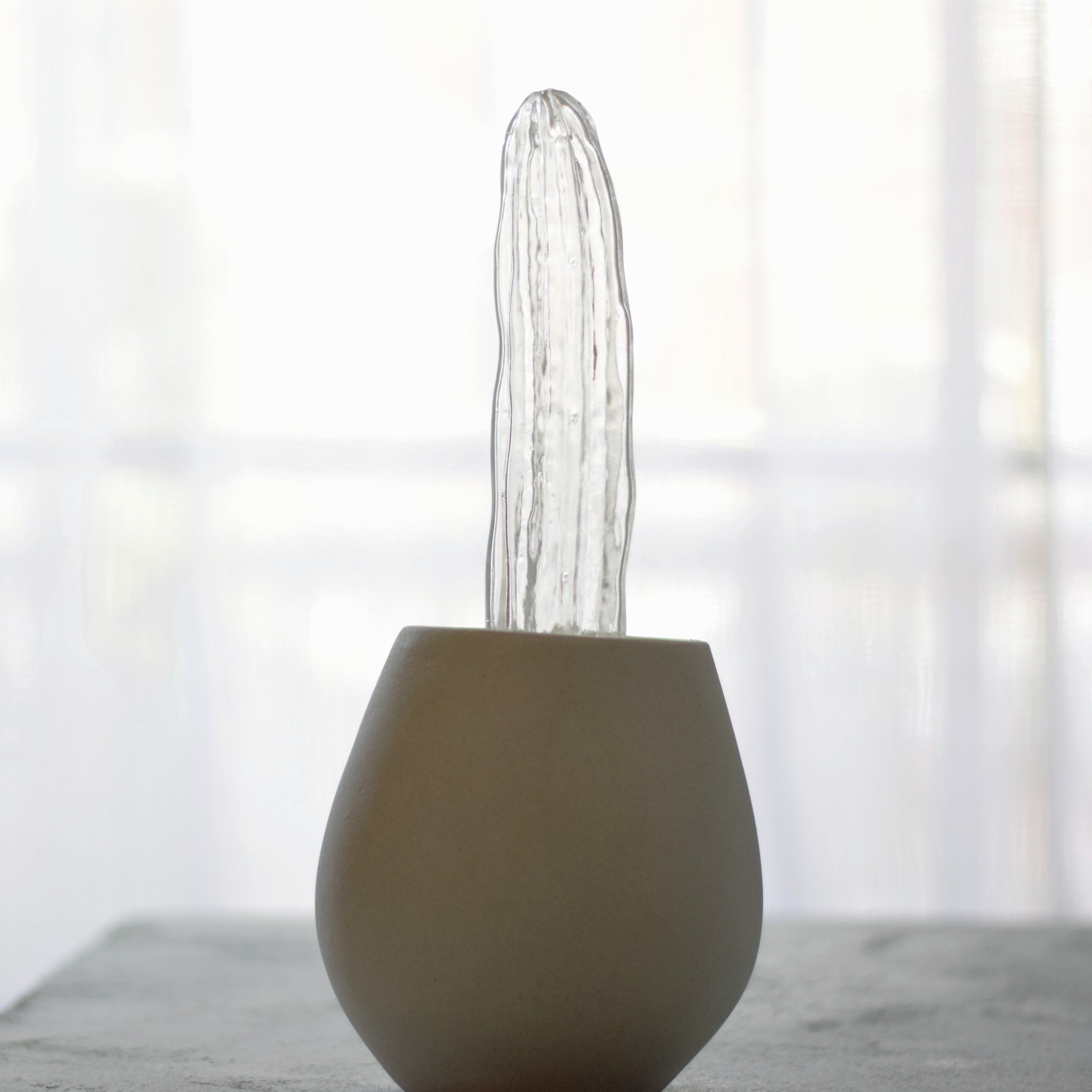 透明サボテン 001 | Sabotensi