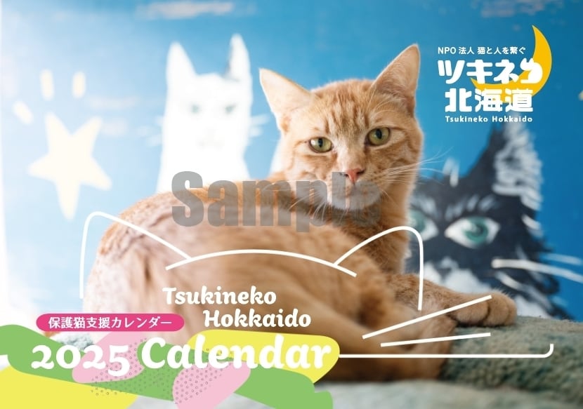 専用 ツキネコ様 壁掛け】2025年 ツキネコ保護猫支援 専用 ツキネコ様 壁掛け】2025年 ツキネコ保護猫支援