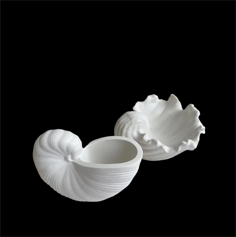 シャコ貝 シェル シリコンモールド | シリコンモールド・クレイ