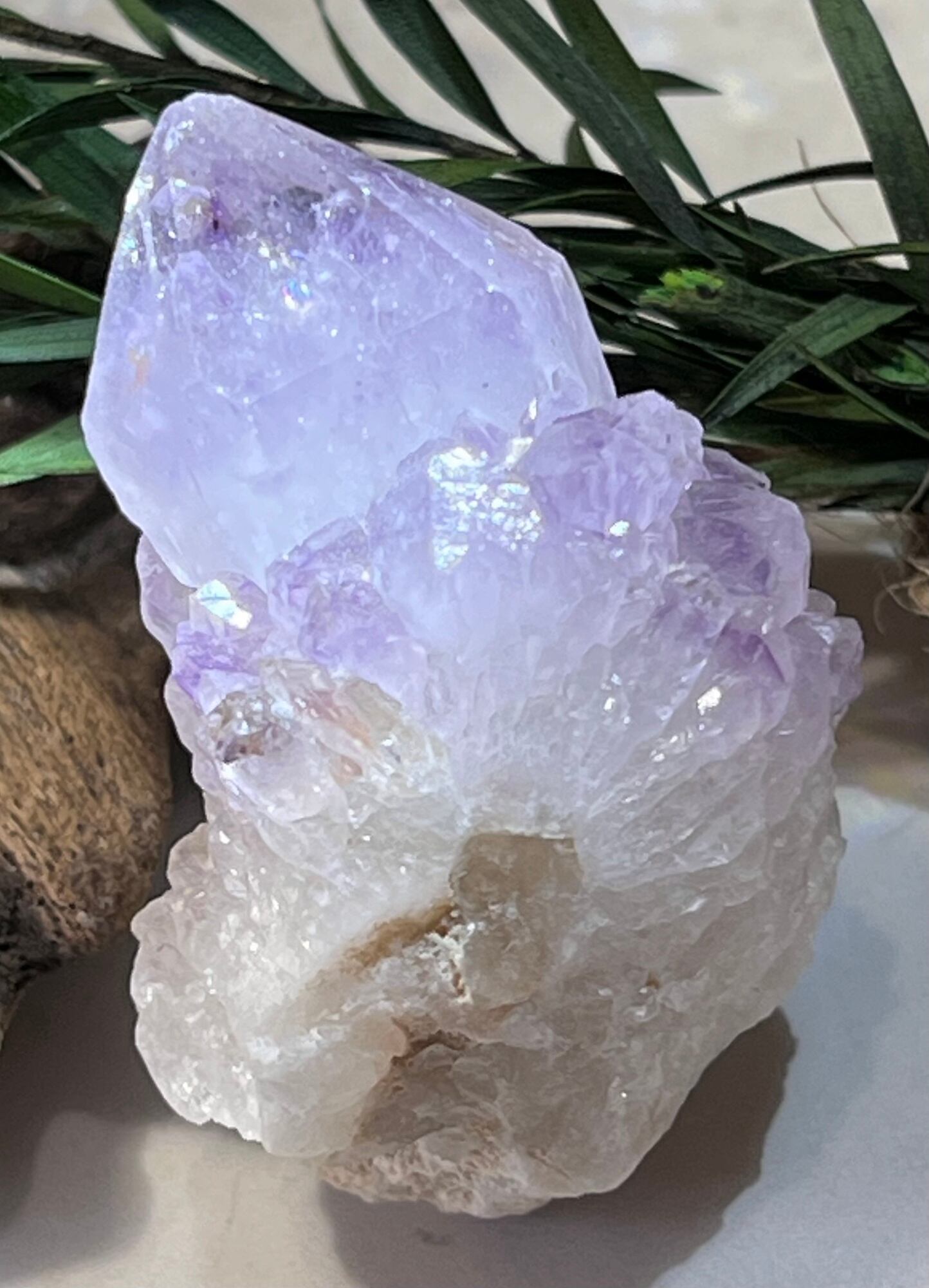 トライゴーニック　虹入り　カクタスアメジスト　サボテン水晶　ラフストーン　原石 トライゴーニック✨虹入りカクタスアメジストサボテン水晶ラフ