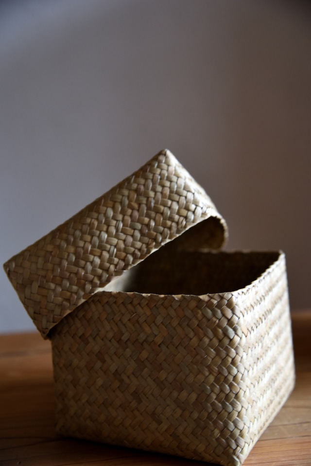 カチュー水草 ふた付き四角BOX (L)