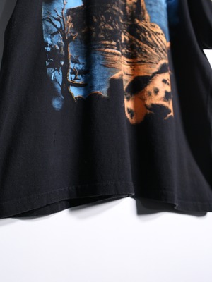 Monument Valley printed PRO CLUB body over silhouette tee