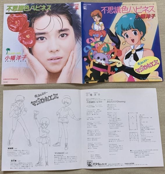 小幡洋子 / 不思議色ハピネス | soul respect records