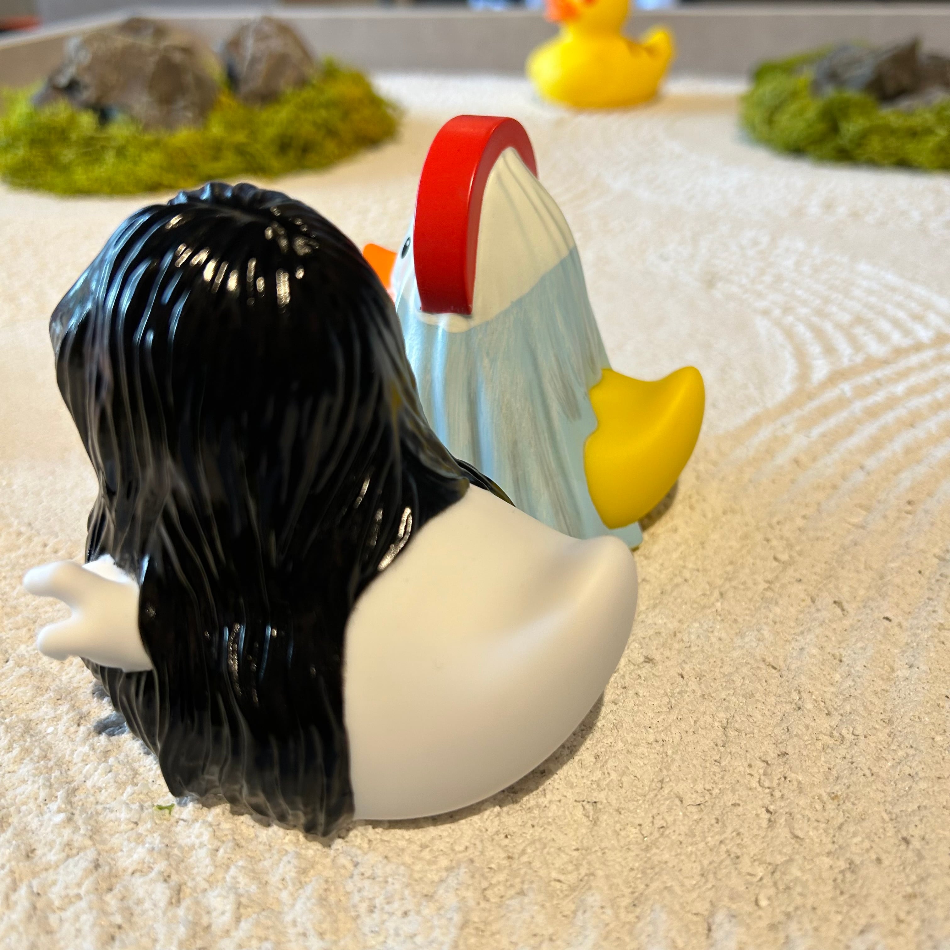 Mystic duck | Ducks