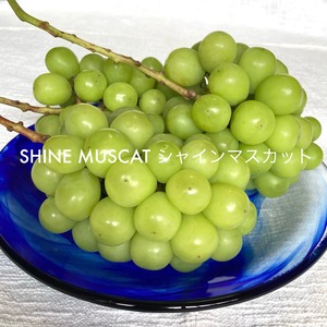 SHINE MUSCAT シャインマスカットジャム 130g