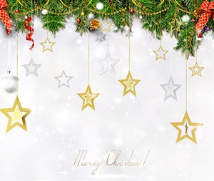 【人気】クリスマス飾り 星型 オーナメント グッズ CHRISTMAS X’mas 飾り 装飾 幸せを運ぶ スター クリスマス パーティー ウォールデコ 壁掛け 吊るし飾り (ゴールド)