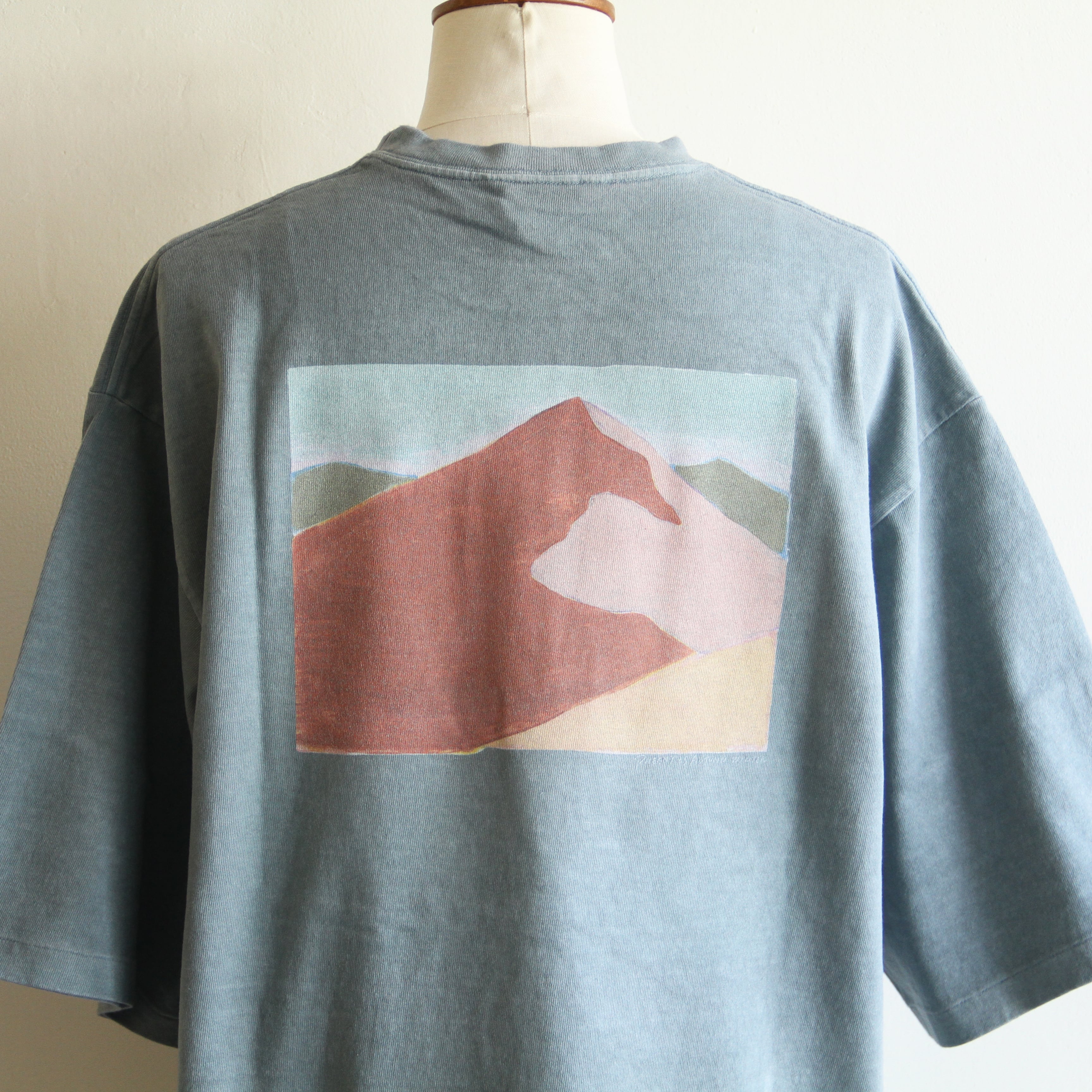 PHEENY【 womens 】"Mountain”  short sleeve tee #boys size