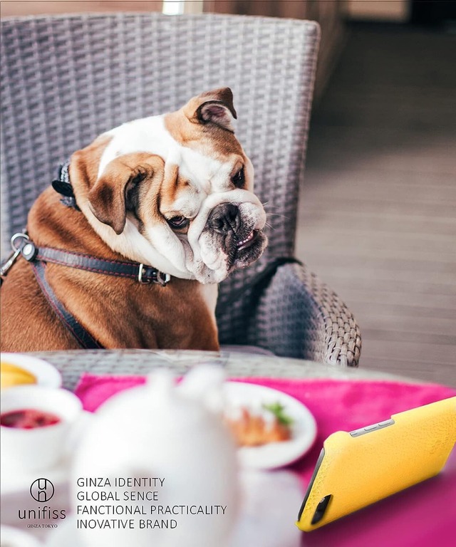 【銀座発】unifiss iPhone 13Pro 第15世代 iPhone13pro 薄型 軽量 ワイヤレス充電対応 高級 シュリンク PU レザー カバー 型 スマホケース マット スリム 携帯ケース 携帯 スマホ スマホカバー iphoneケース iphone 6.1 インチ inch アイフォン 13PRO用カバー グリーン 緑 13Pro GR