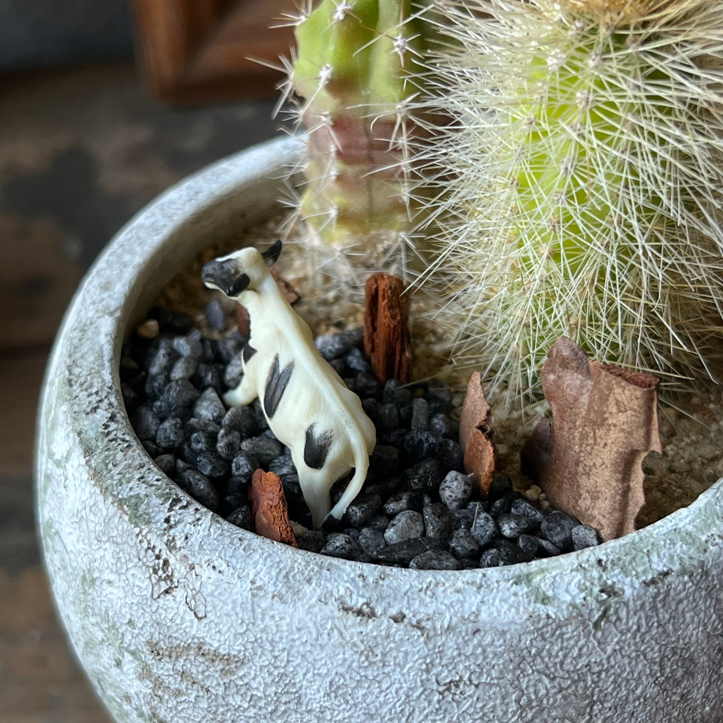 MINI 2鉢SET Pig&Cow | SABOTEN MISSILE