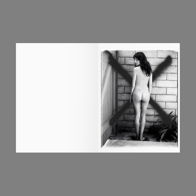 Ed Templeton: Pattern Recognition