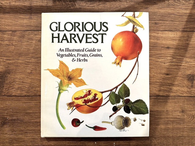 【VW166】Glorious Harvest: an illustrated guide to vegetables, fruits and herbs /visual book