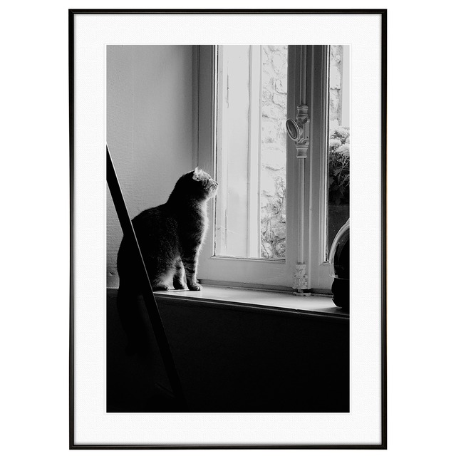 動物写真 窓の外を見つめる猫 インテリアアート モノクロポスター額装 AS3705