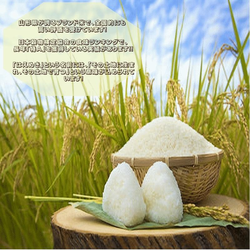 新米早期予約 10Kg 玄米 販売 送料無料 当日精米 令和7年度産 山形県