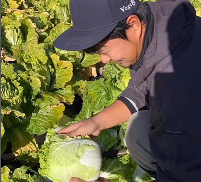 有機栽培発祥の地 綾町のとれたて野菜セット※販売終了いたしました※