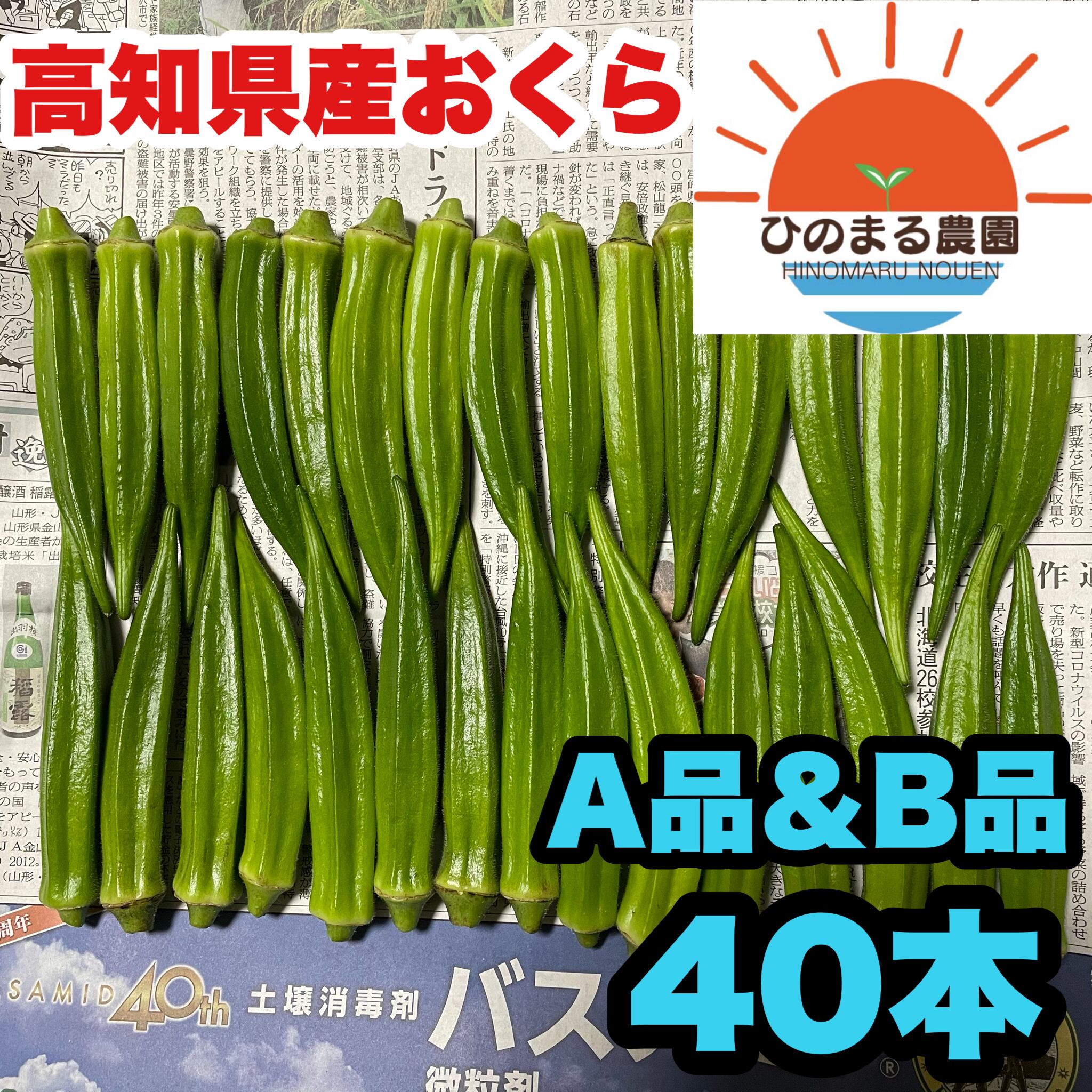 94 Off オクタゴン 肉厚で柔らか食感 八角オクラ 福岡県産 星