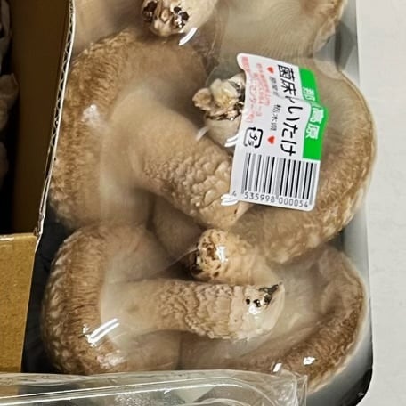 きのこ　4個セット きのこセット | 新潟ごっつぉ産直便 | JA新潟かがやき公式通販サイト