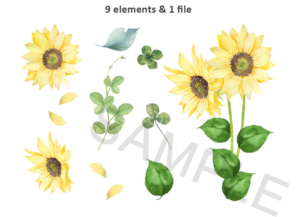 c01caae55c99f3ffe42f40d46f304a