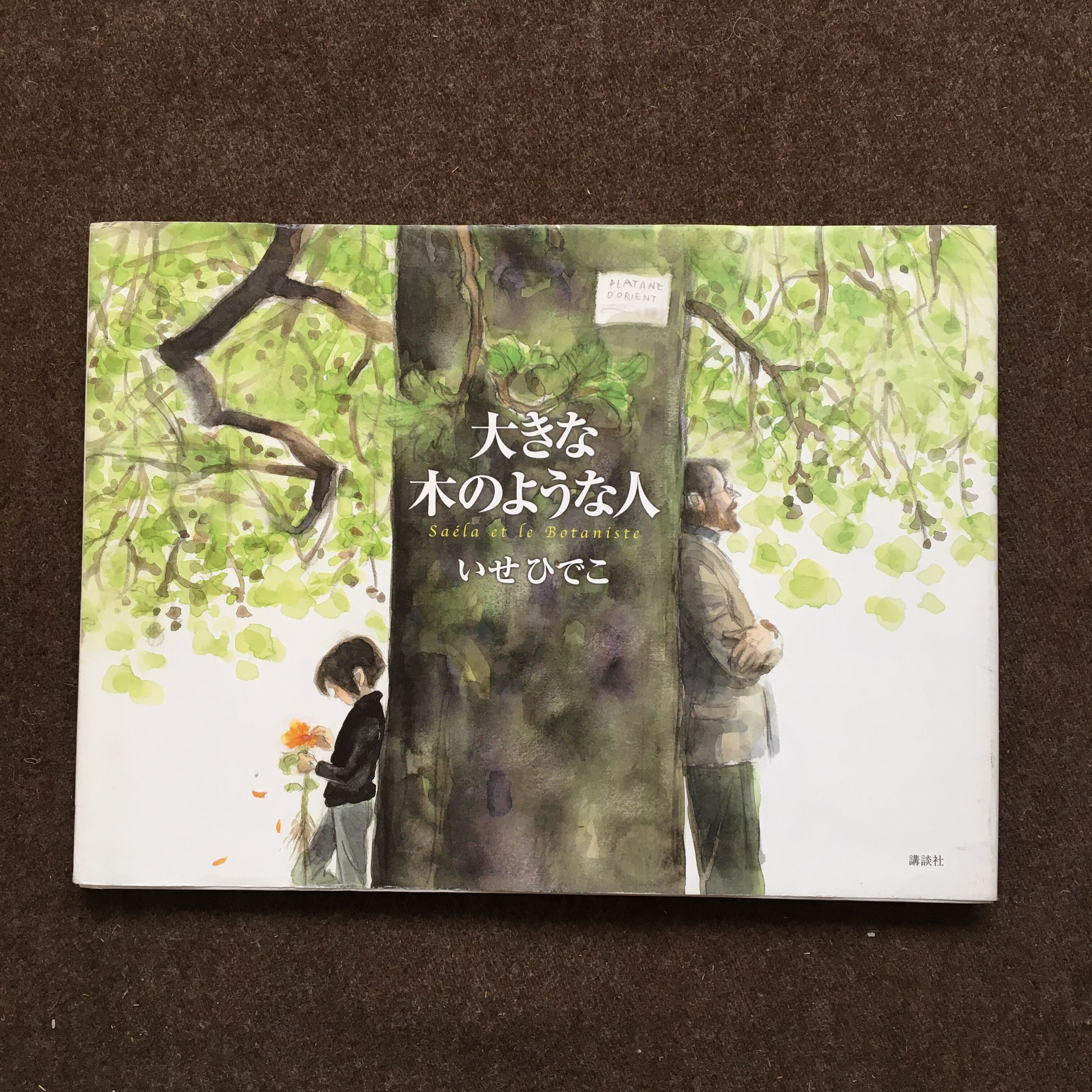 大きな木のような人