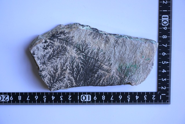 コンゴ産デンドライト・クリソコラ Dendrite / Chrysocolla ③