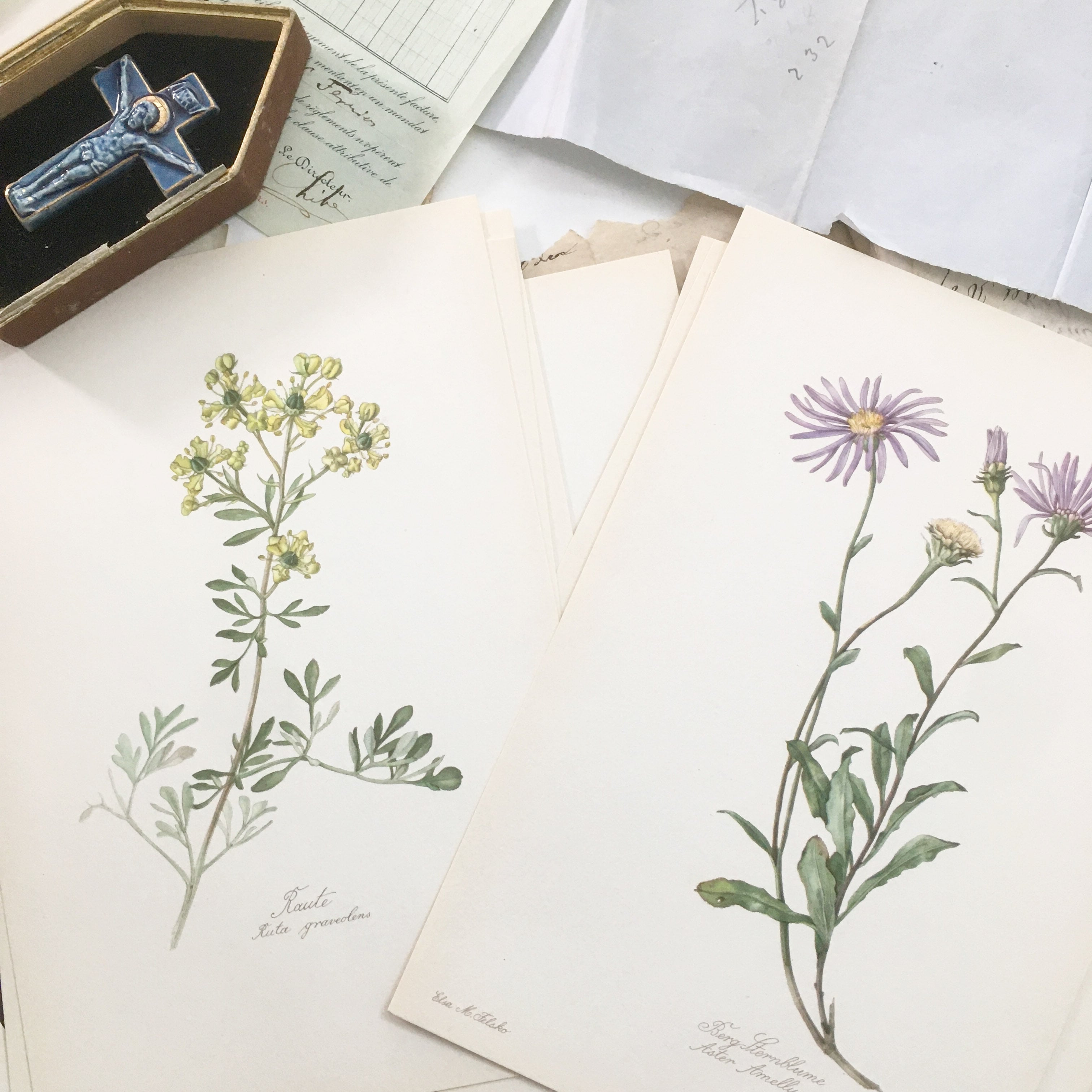 フランスのGaston Bonnierの植物図鑑花の図鑑 ヴィンテージ - 通販