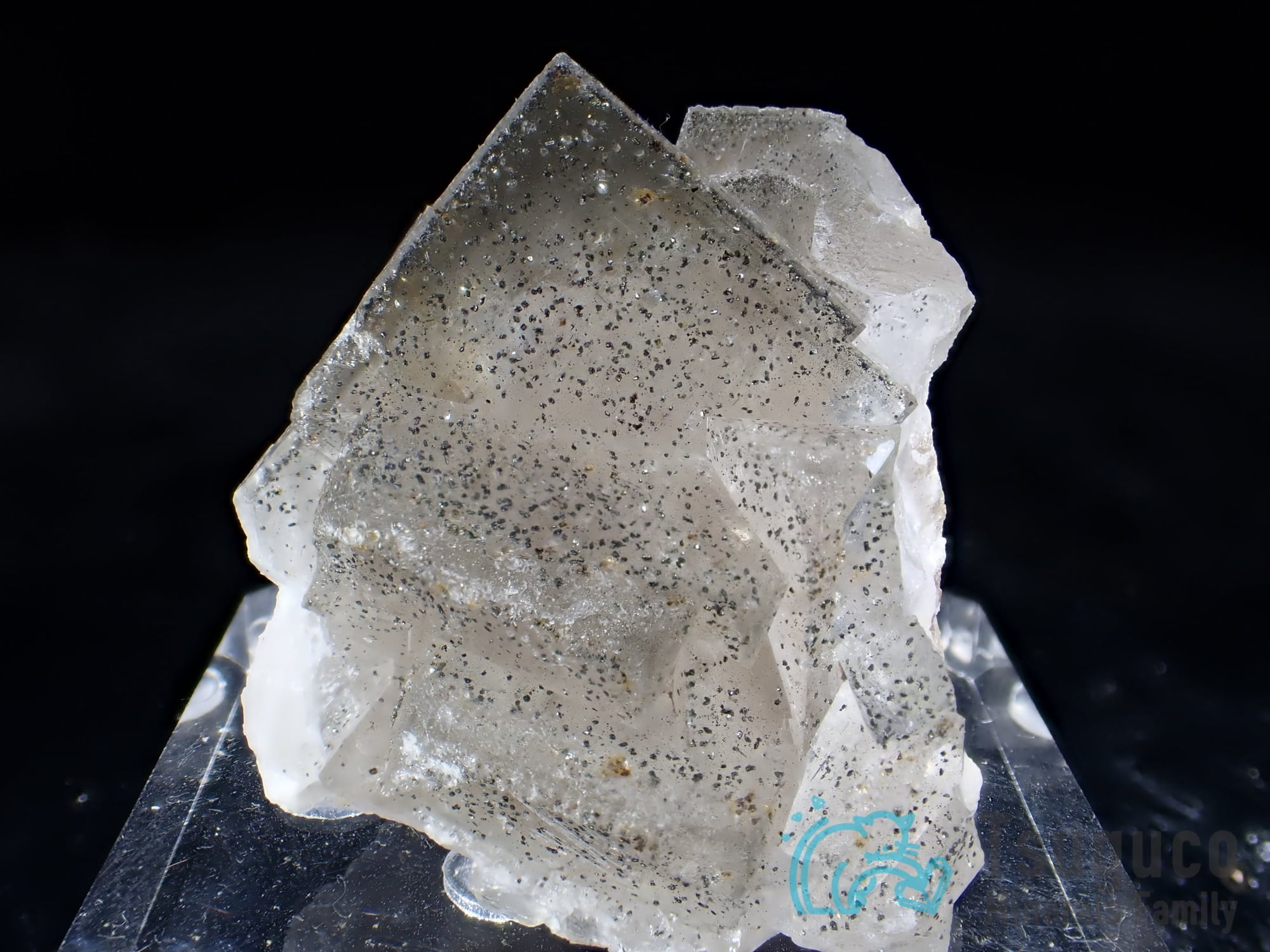 フローライト 蛍石 イギリス TM-646 Ex. George Fletcher Collection