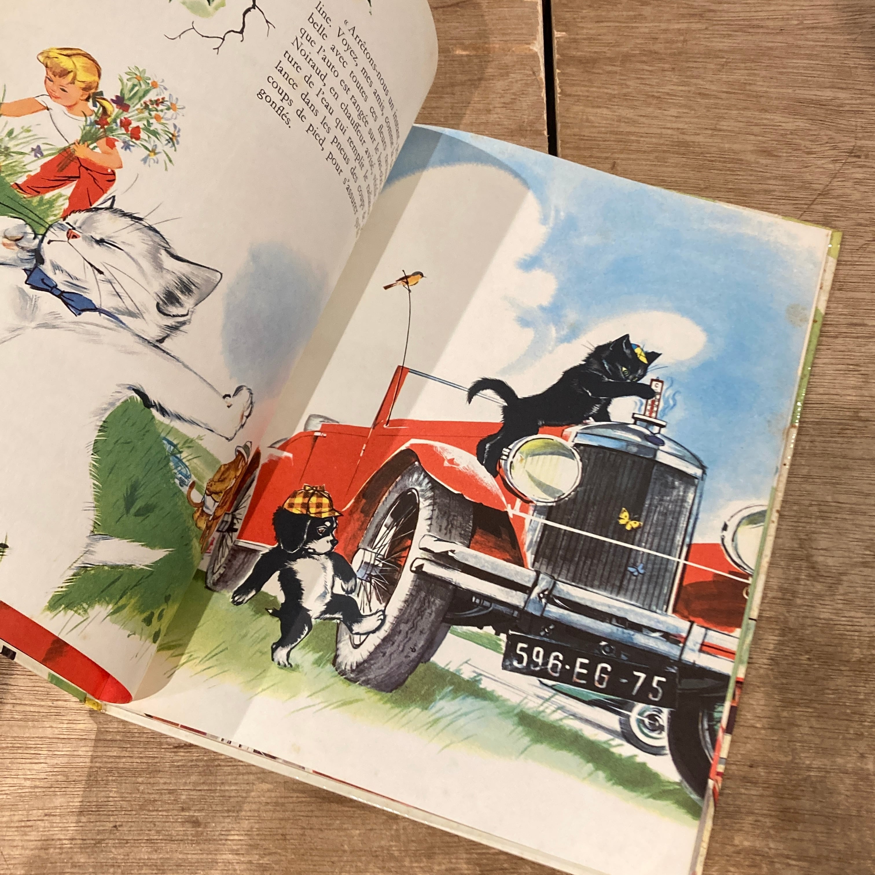 絵本・児童書 L'automobile de Caroline L'automobile de Caroline 【公式通販】