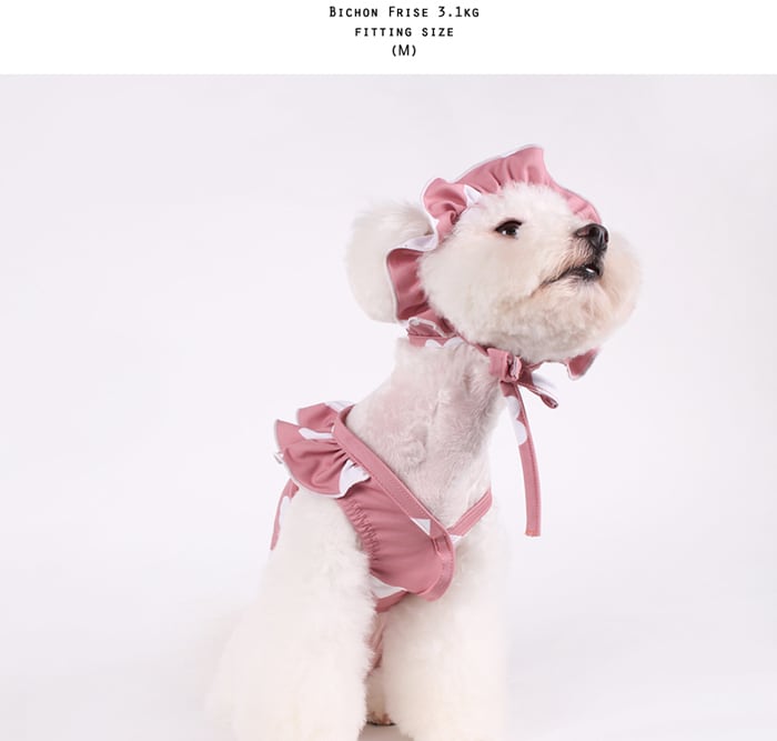 ハートビーチウェア帽子 S ~ XL 2color  /  犬服 夏 犬 ビキニ ドッグウェア 可愛い 犬の服 ペット ラッシュガード