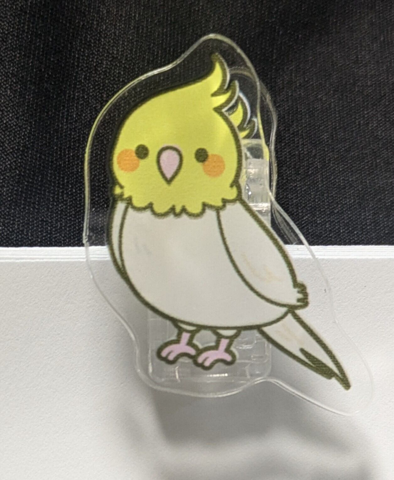 セキセイZOO