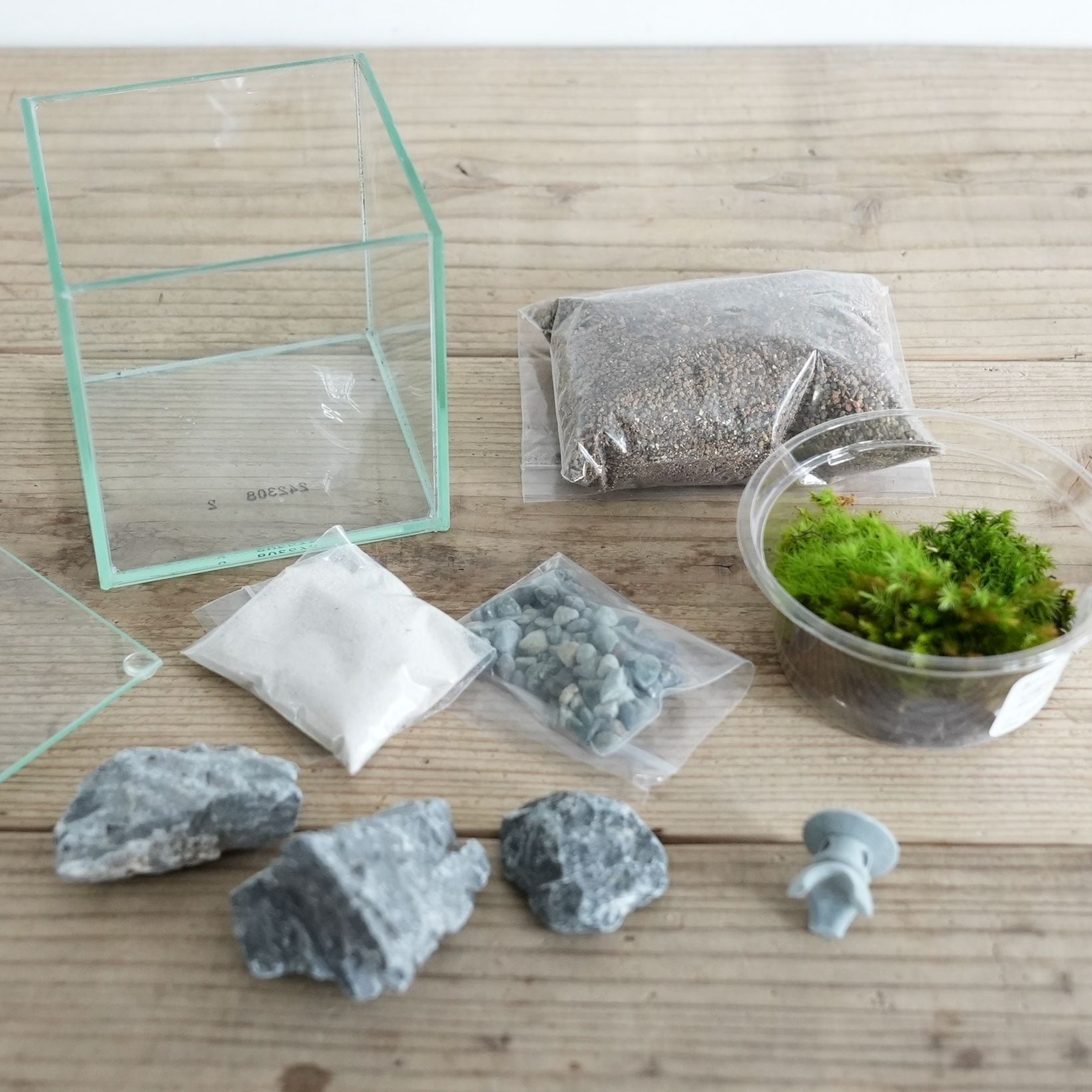 作製キット】小さな日本庭園の苔テラリウム作製キット ◇動画解説付き