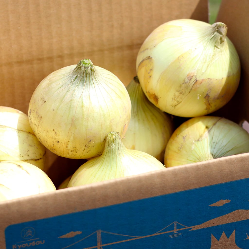 淡路島産 玉ねぎ（3kg) | anagashop