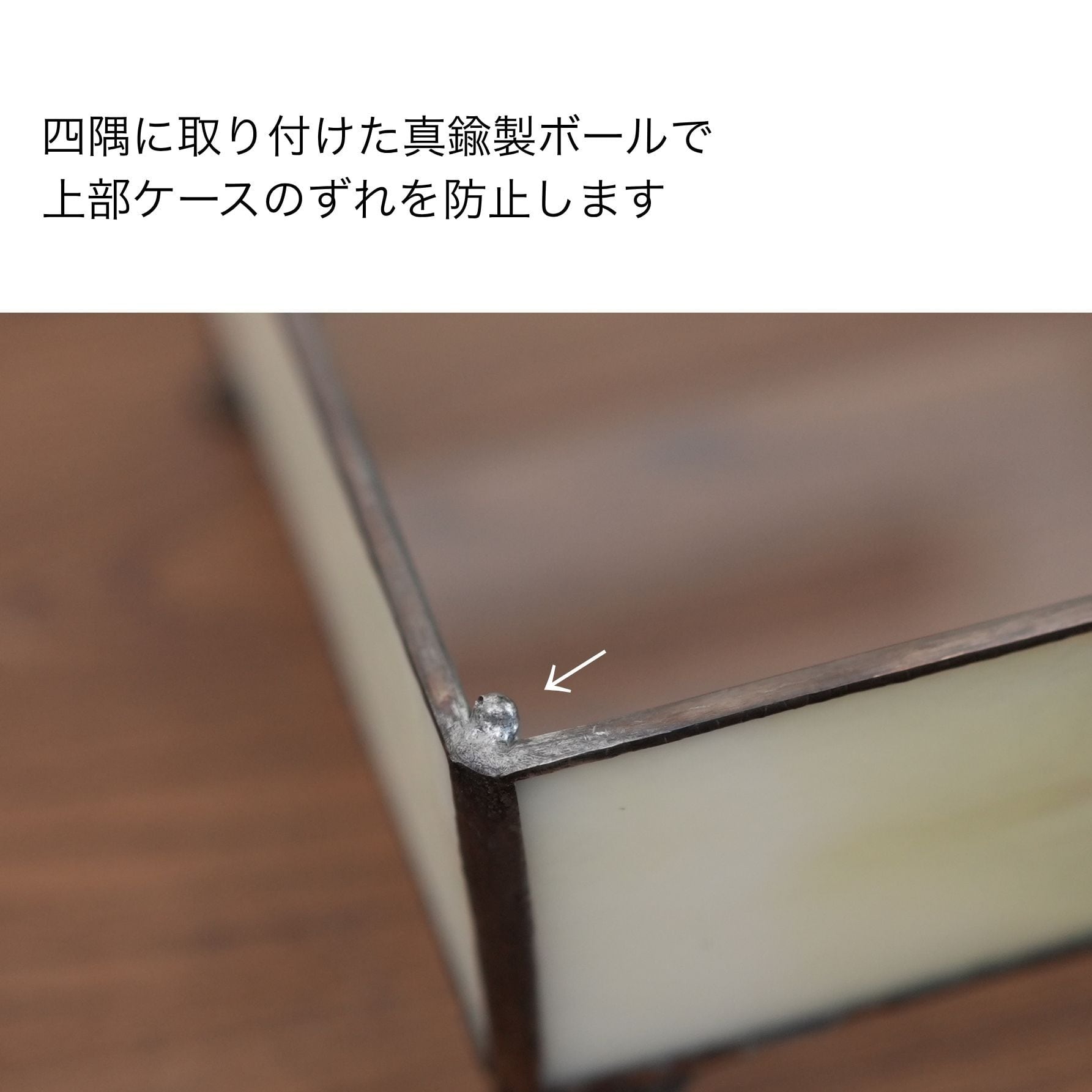IKUIT×道草コラボ3弾】ワーディアンケース 黒系 #1 | 苔テラリウム専門