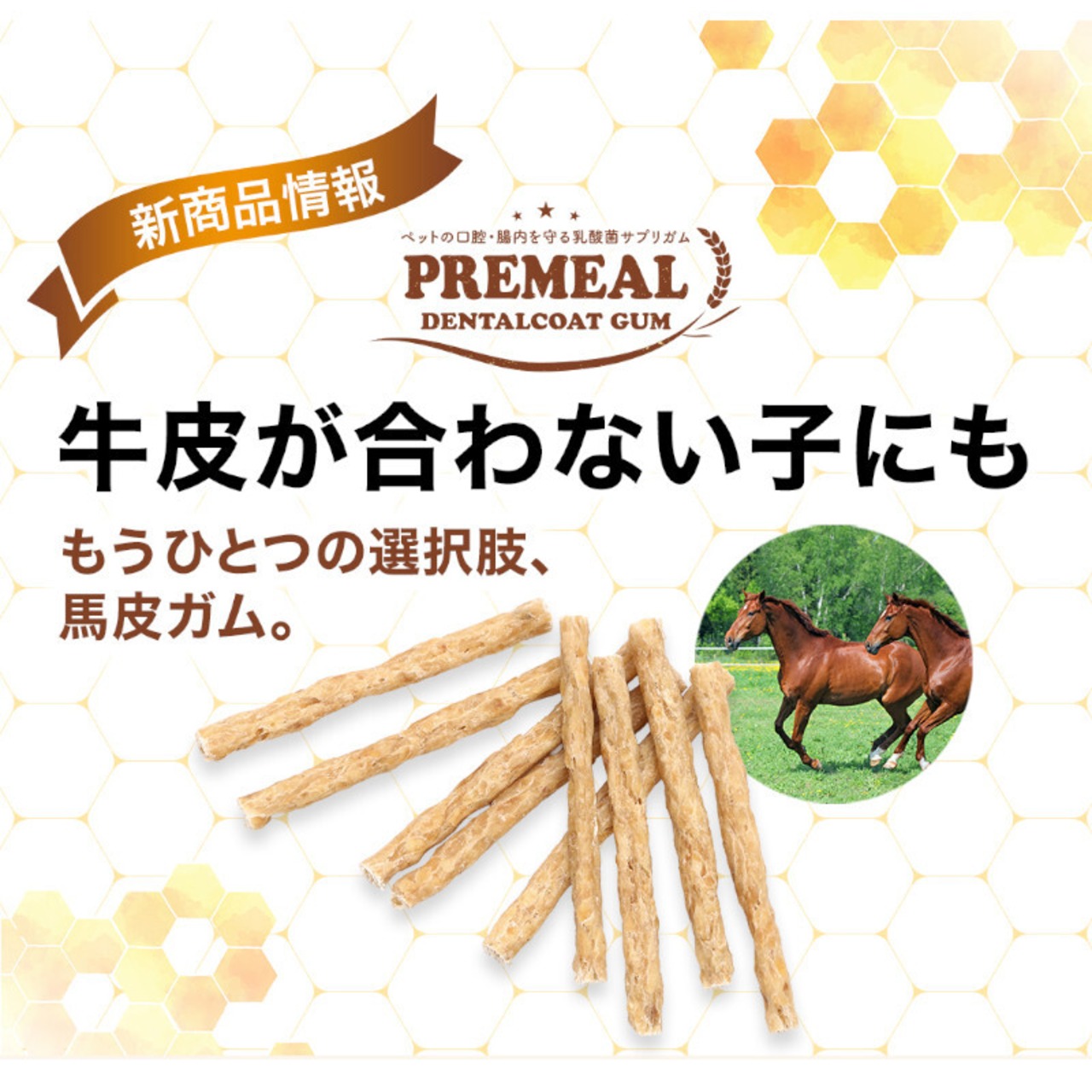 PREMEAL デンタルコートガム Umanuka・画像3
