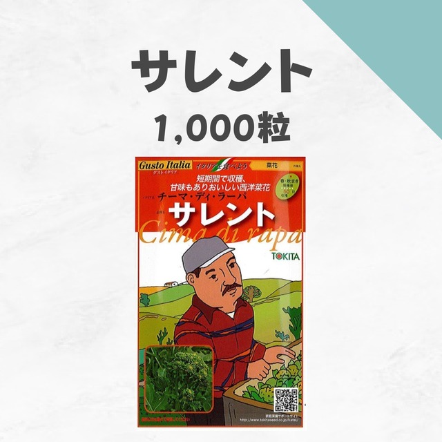 サレント　ナバナ種子・1,000粒