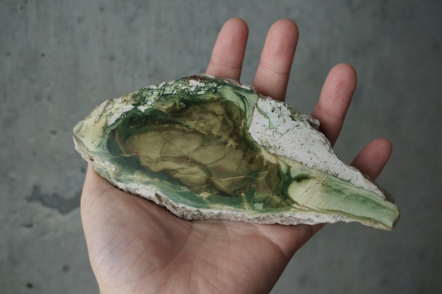 モリソナイト・ジャスパー Morrisonite Jasper 1962