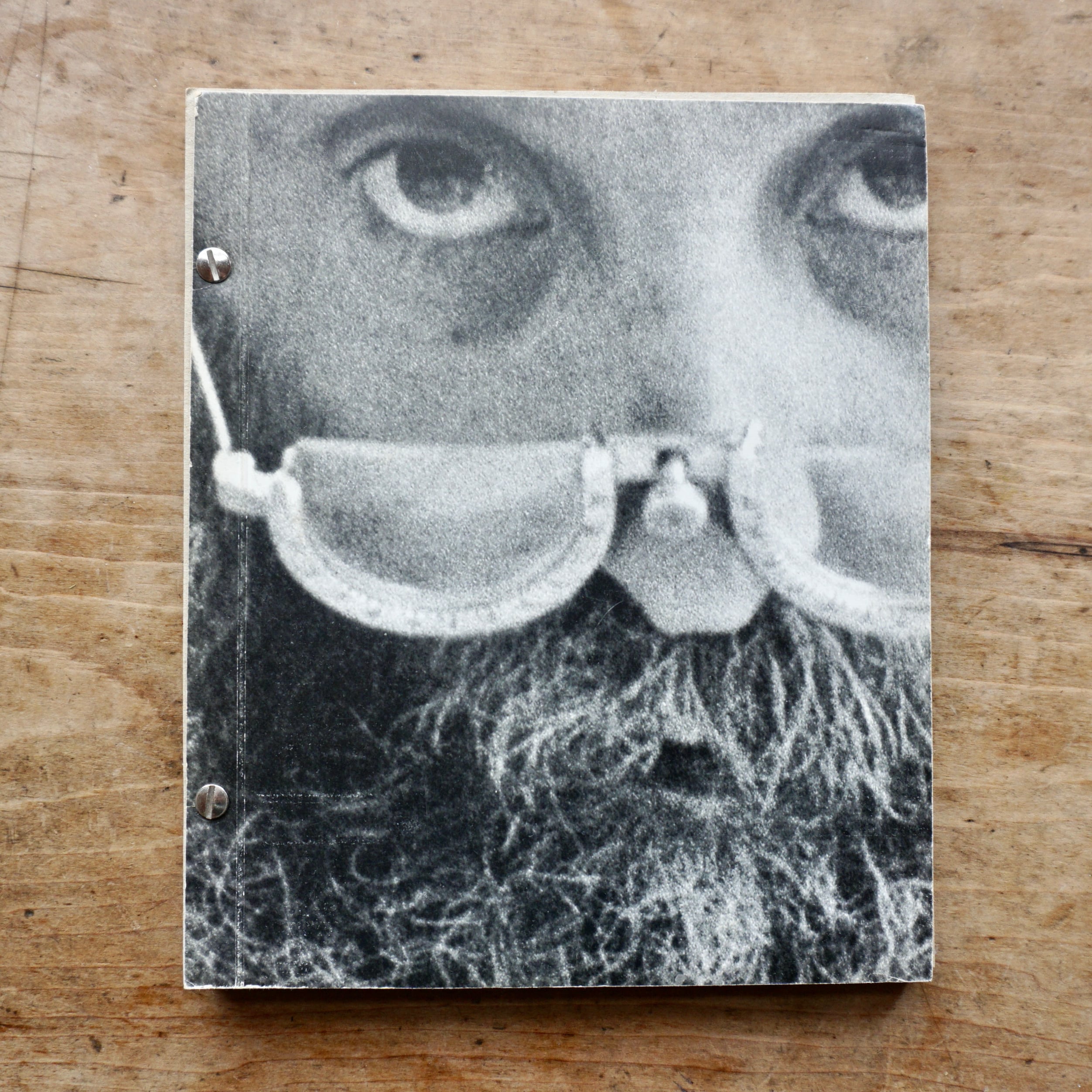 【絶版洋古書】セザール　 Cesar. Retrospective des sculptures; overzichtstentoonstelling van sculpturen. 1976 Genève: Studer S.A.　 [310195184]