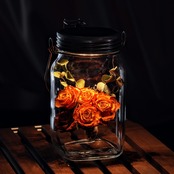 【VTギフト】sonnenglas ローズ橙×ユーカリ