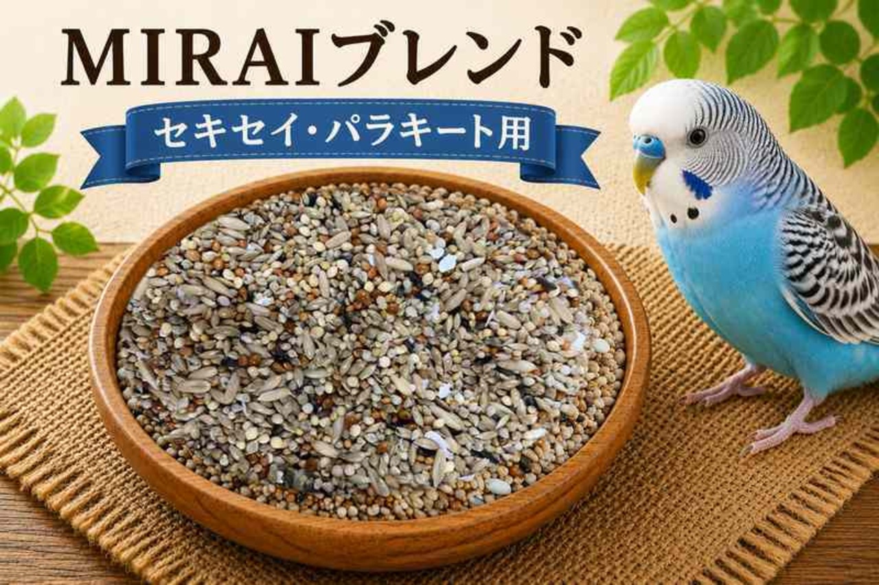 【MIRAI-UPオリジナル】MIRAIブレンド セキセイ・パラキート用１ｋｇ