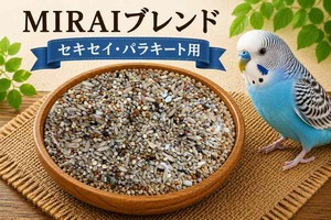【MIRAI-UPオリジナル】MIRAIブレンド セキセイ・パラキート用１ｋｇ
