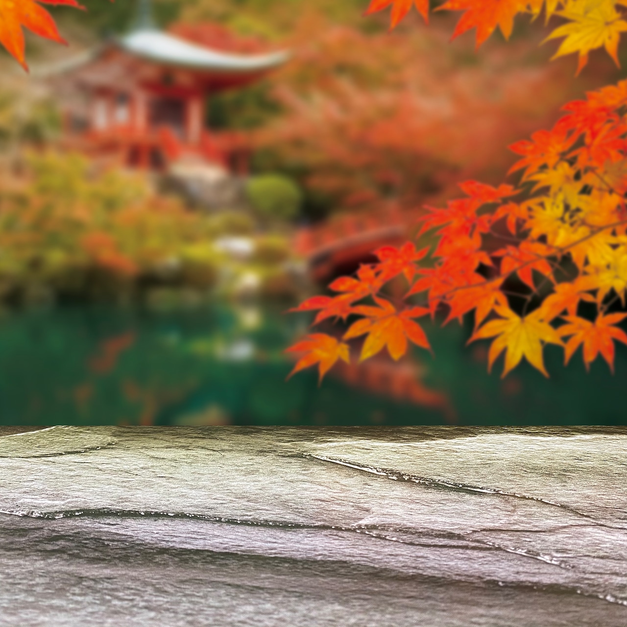 京都で紅葉狩り