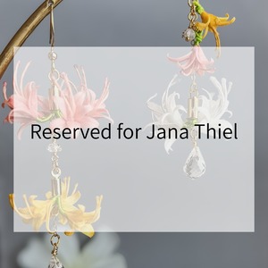 Reserved for Jana Thiel　巡花「華」Jana Thiel様専用購入ページ