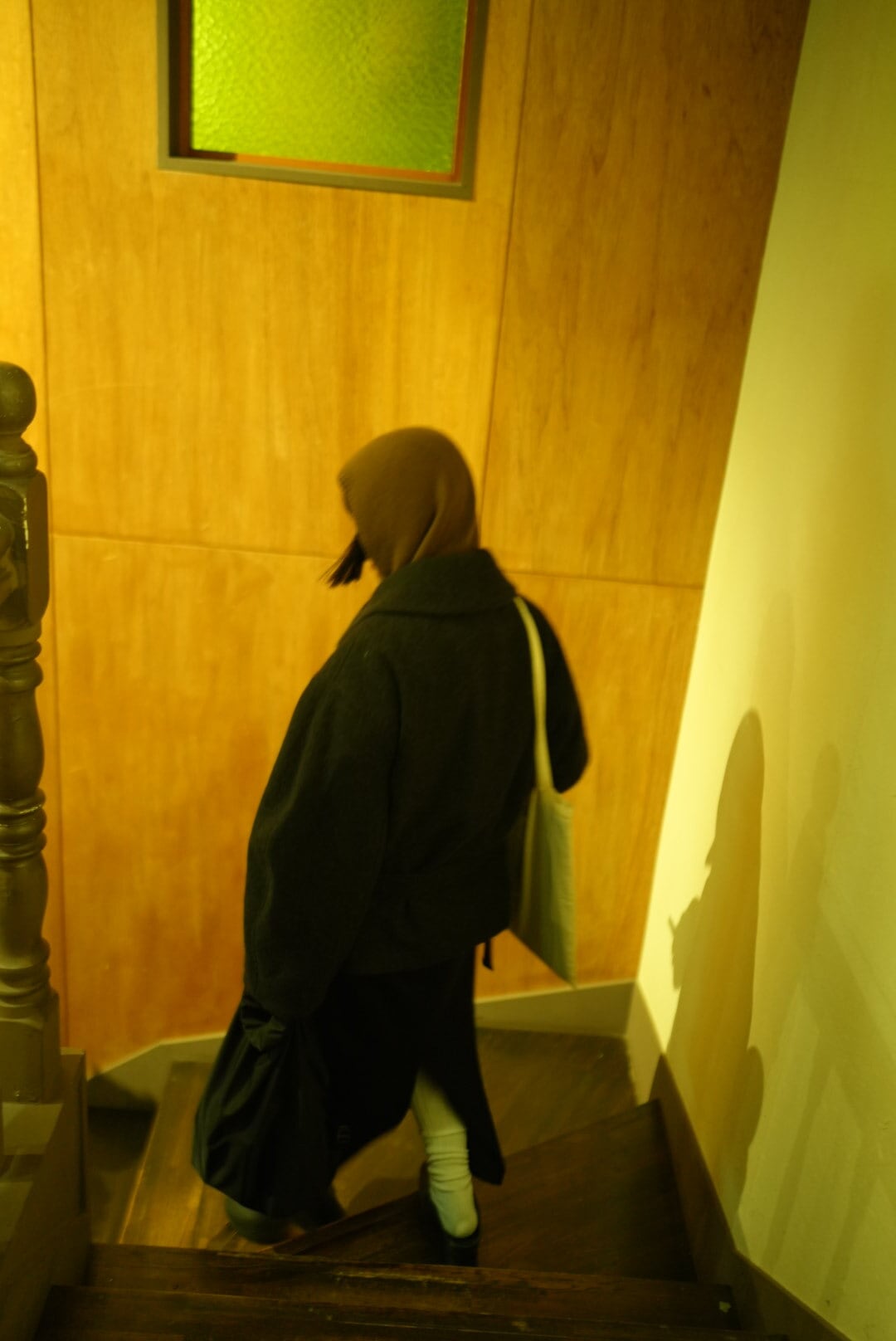 MOON TREE PLANET - ZUKIN brown | Pay ID