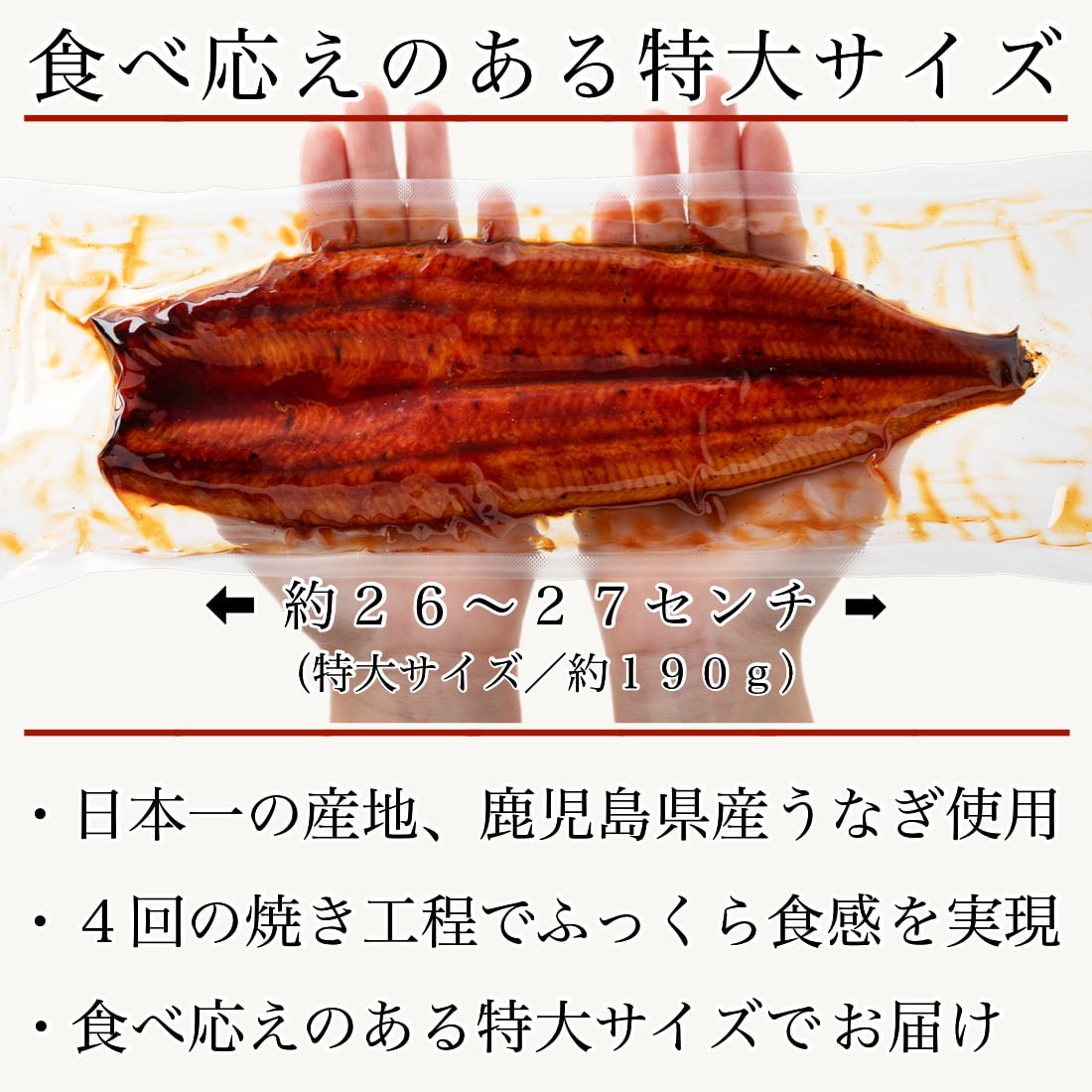 母の日 鹿児島 大隅産 国産 うなぎ 特大 約190g 【ギフト対応可】 自宅